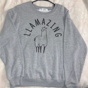 Crew neck, Llama shirt. Super soft, but kind of thin. Never worn before!